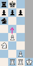 Guanaco Chess, extra squares
