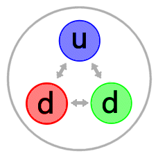 The quarks of the neutron