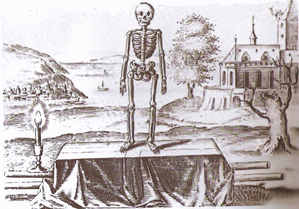 The skeleton as albedo symbol